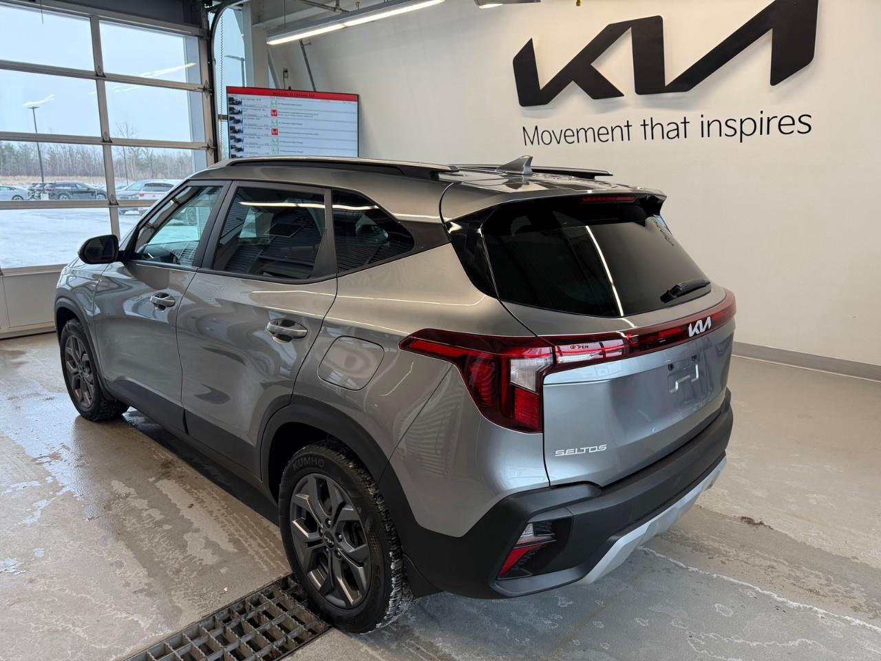 2024 Kia Seltos LX 4dr All-Wheel Drive Photo