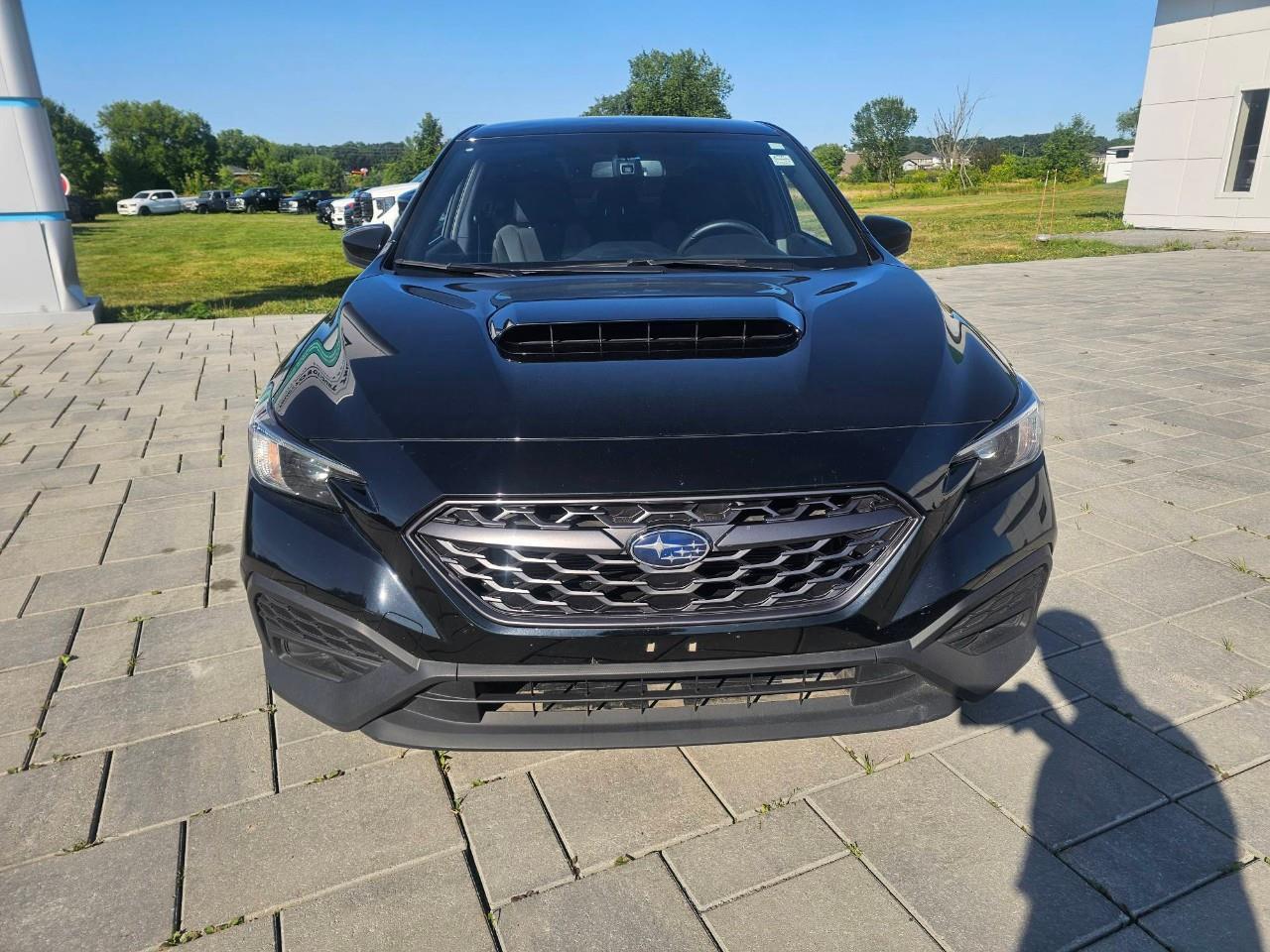 2023 Subaru WRX Base (M6) 4dr All-Wheel Drive Sedan Photo