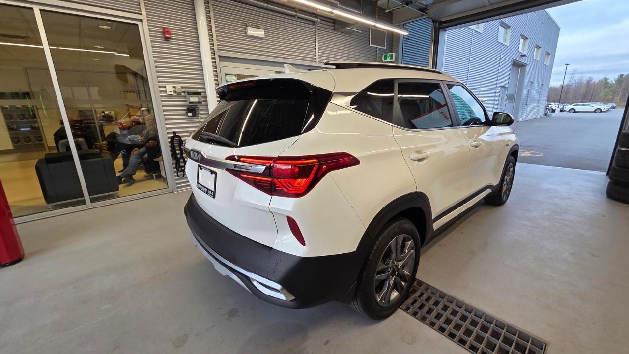 2023 Kia Seltos EX 4dr All-Wheel Drive Photo
