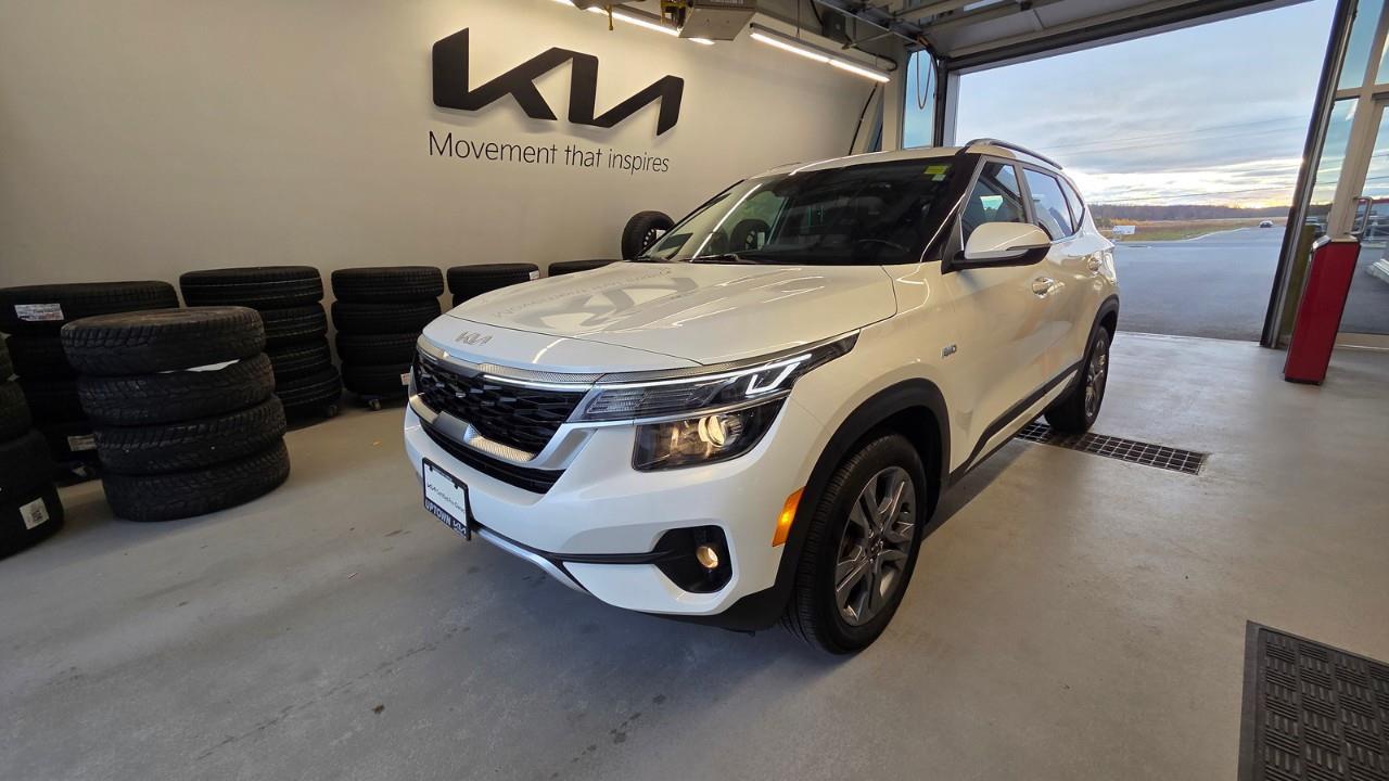 2023 Kia Seltos EX 4dr All-Wheel Drive Photo
