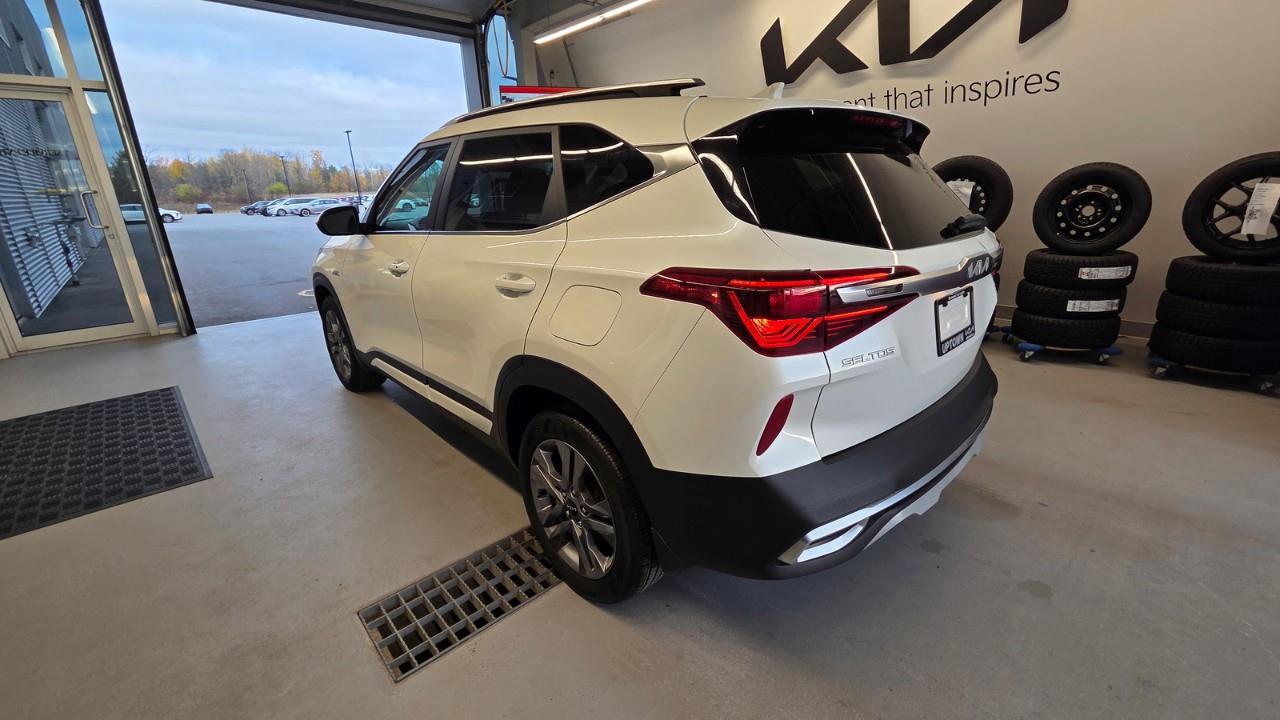 2023 Kia Seltos EX 4dr All-Wheel Drive Photo