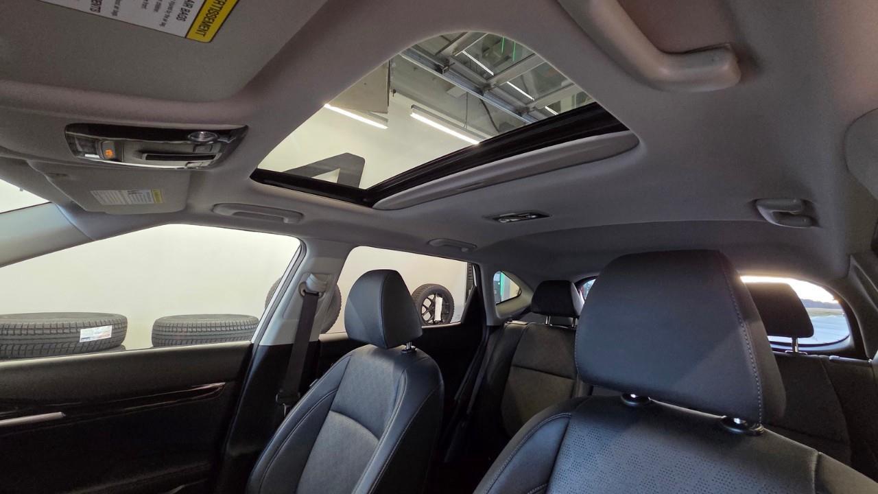 2023 Kia Seltos EX 4dr All-Wheel Drive Photo