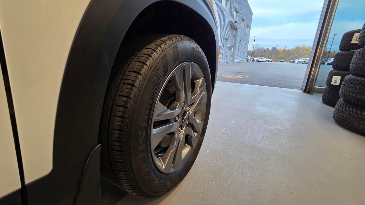 2023 Kia Seltos EX 4dr All-Wheel Drive Photo