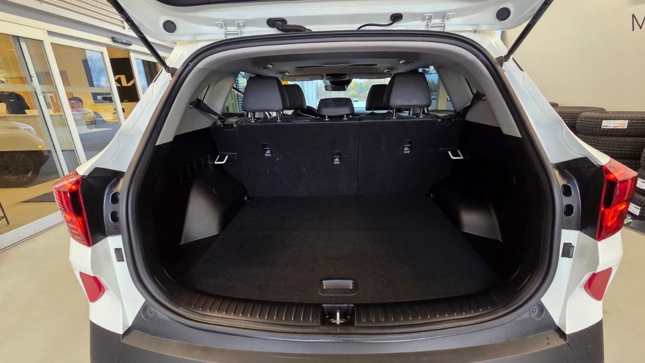 2023 Kia Seltos EX 4dr All-Wheel Drive Photo