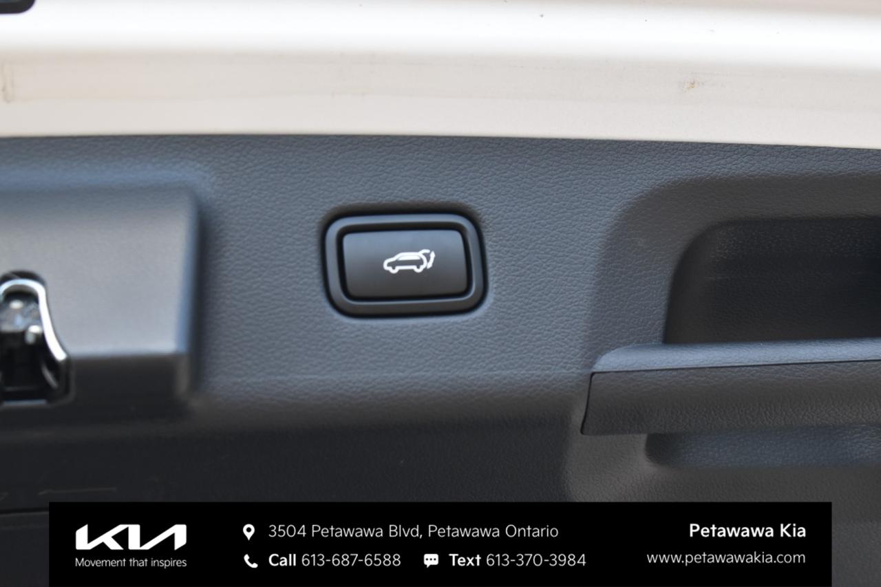 2025 Hyundai PALISADE Urban 8 Passenger 4dr All-Wheel Drive Photo