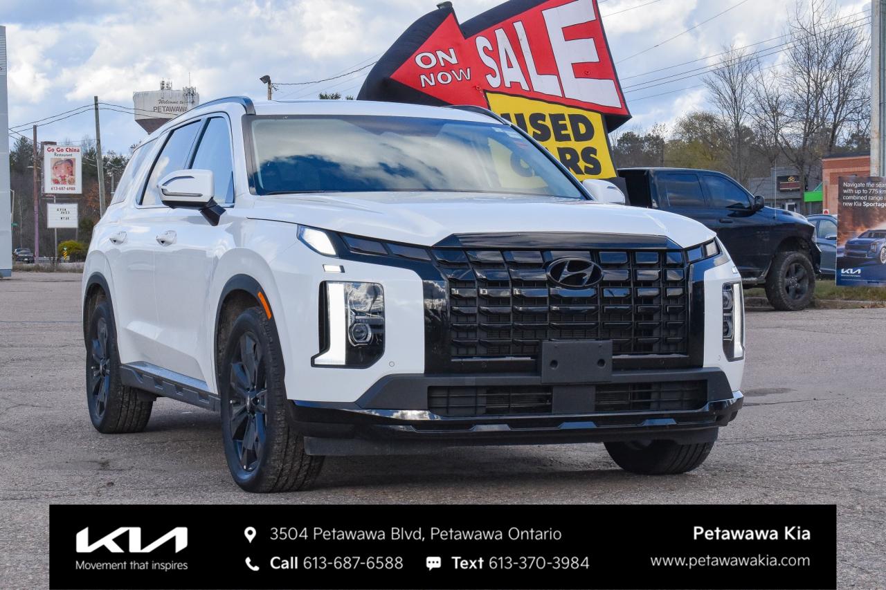 2025 Hyundai PALISADE Urban 8 Passenger 4dr All-Wheel Drive Photo