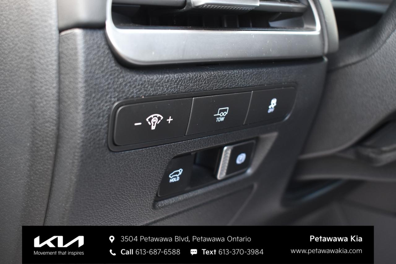 2025 Hyundai PALISADE Urban 8 Passenger 4dr All-Wheel Drive Photo