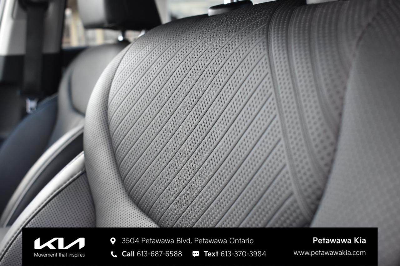 2025 Hyundai PALISADE Urban 8 Passenger 4dr All-Wheel Drive Photo