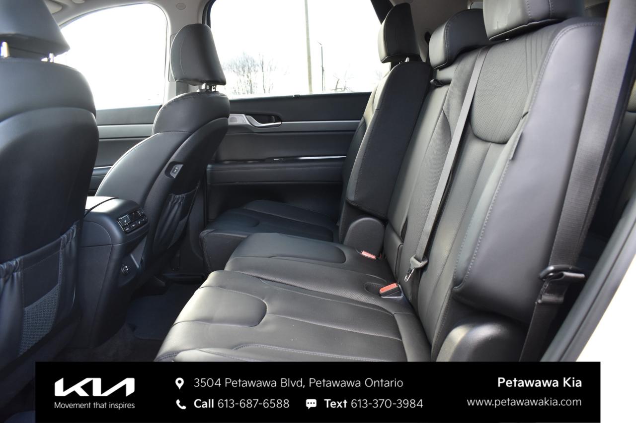 2025 Hyundai PALISADE Urban 8 Passenger 4dr All-Wheel Drive Photo