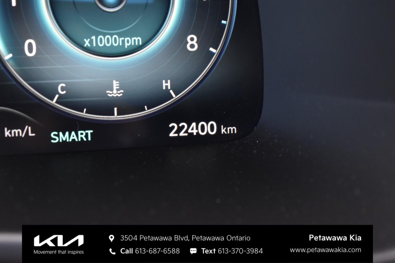 2025 Hyundai PALISADE Urban 8 Passenger 4dr All-Wheel Drive Photo