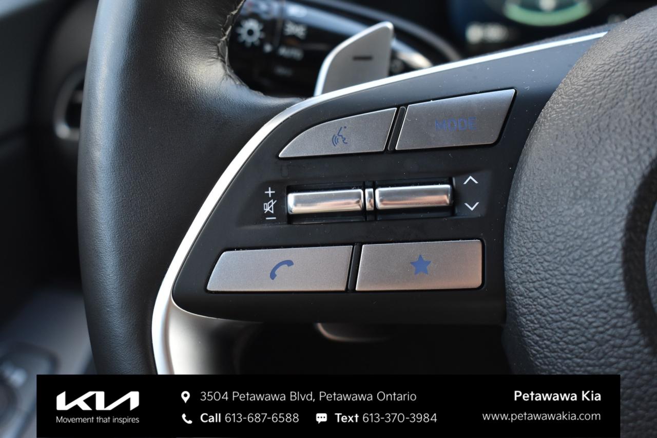 2025 Hyundai PALISADE Urban 8 Passenger 4dr All-Wheel Drive Photo