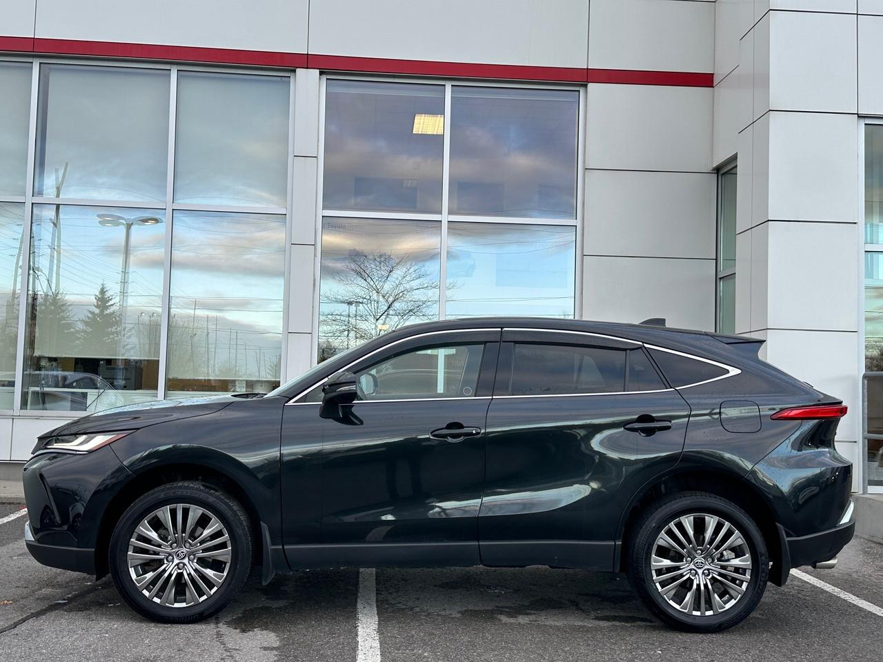 2024 Toyota Venza Limited 4dr All-Wheel Drive Photo