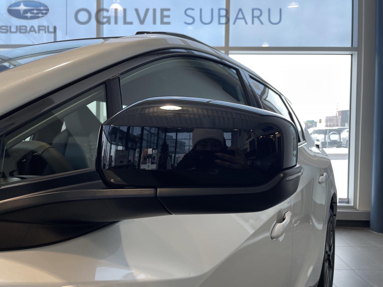 2026 Subaru Solterra Base 4dr All-Wheel Drive Photo