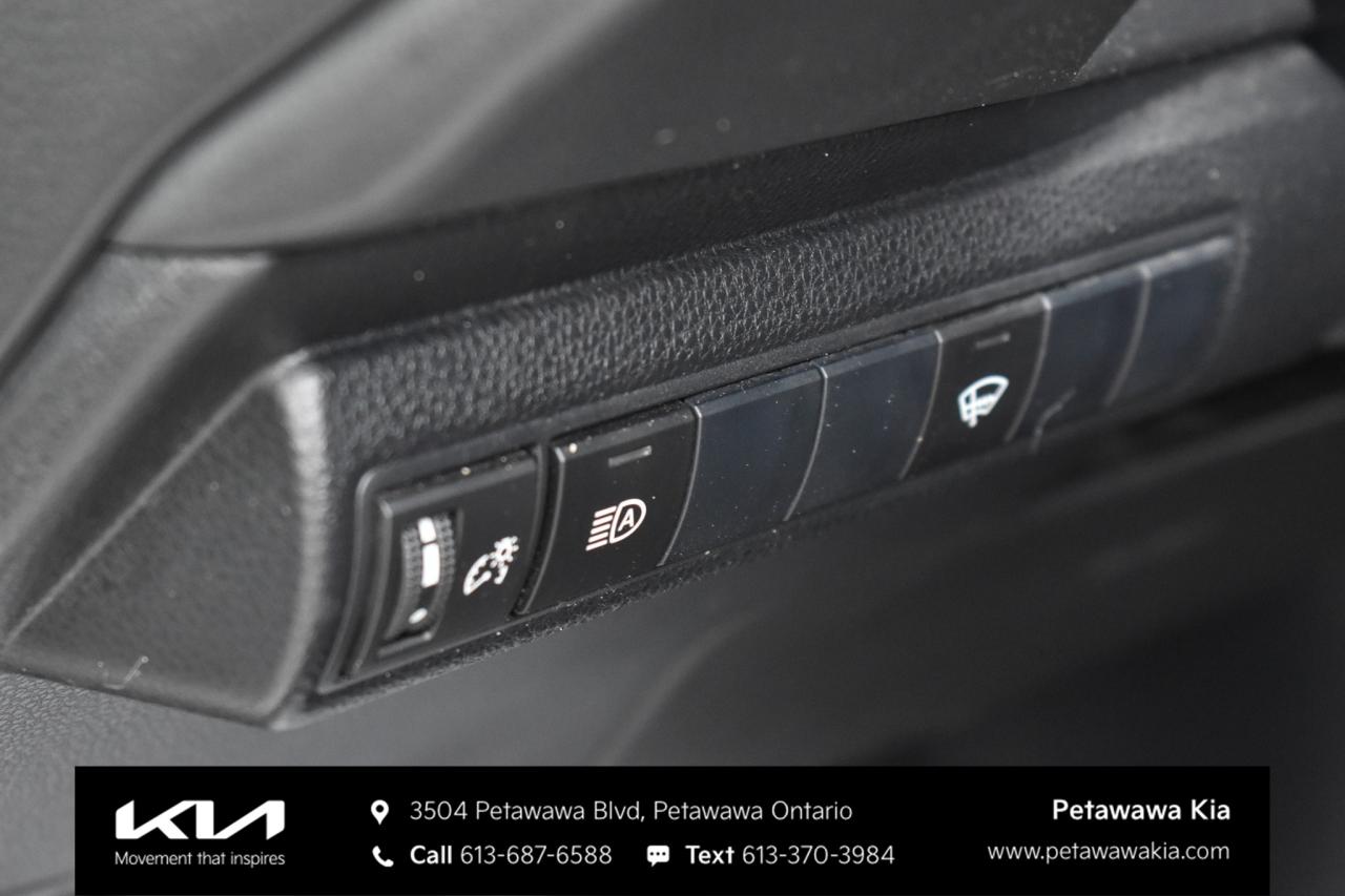 2019 Toyota Corolla Hatchback  Photo