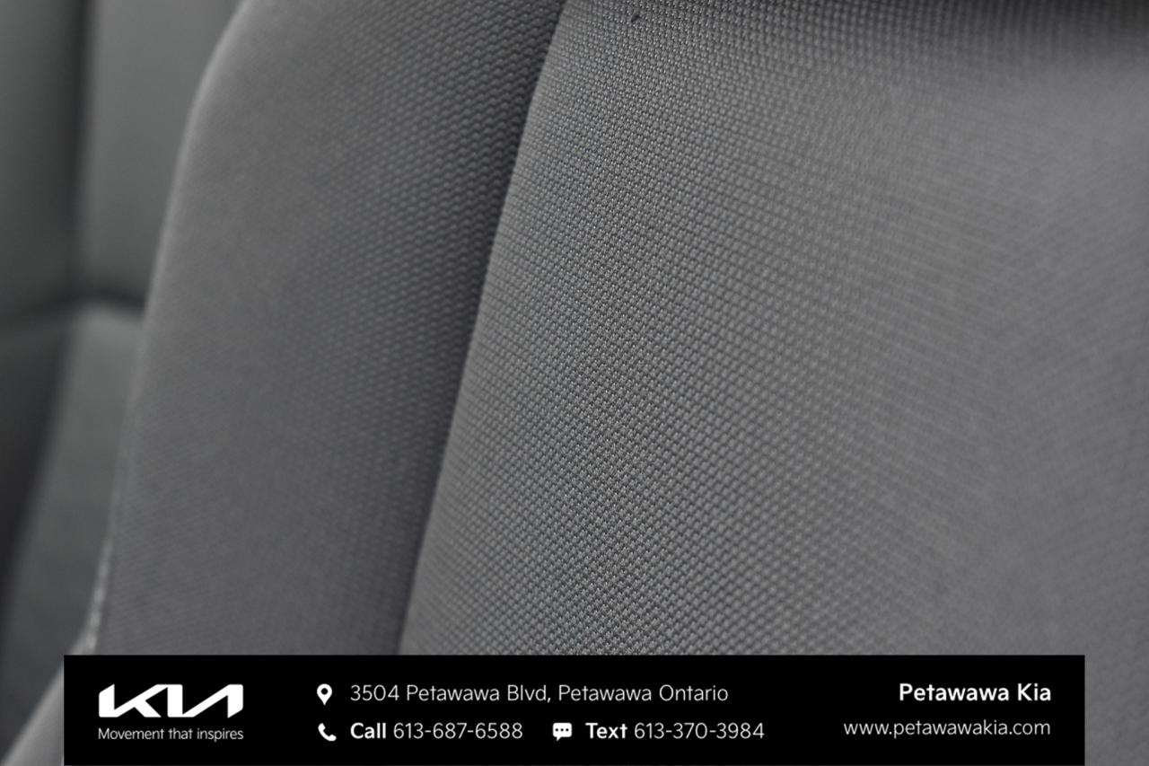 2019 Toyota Corolla Hatchback  Photo