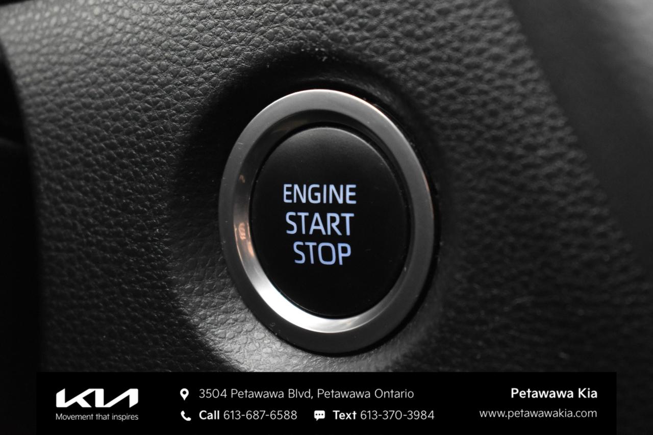 2019 Toyota Corolla Hatchback  Photo