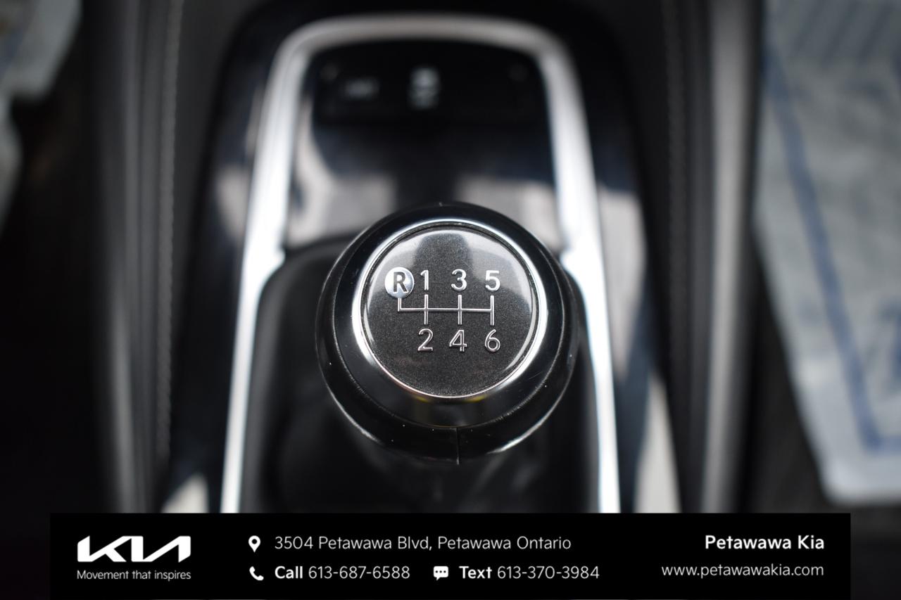 2019 Toyota Corolla Hatchback  Photo