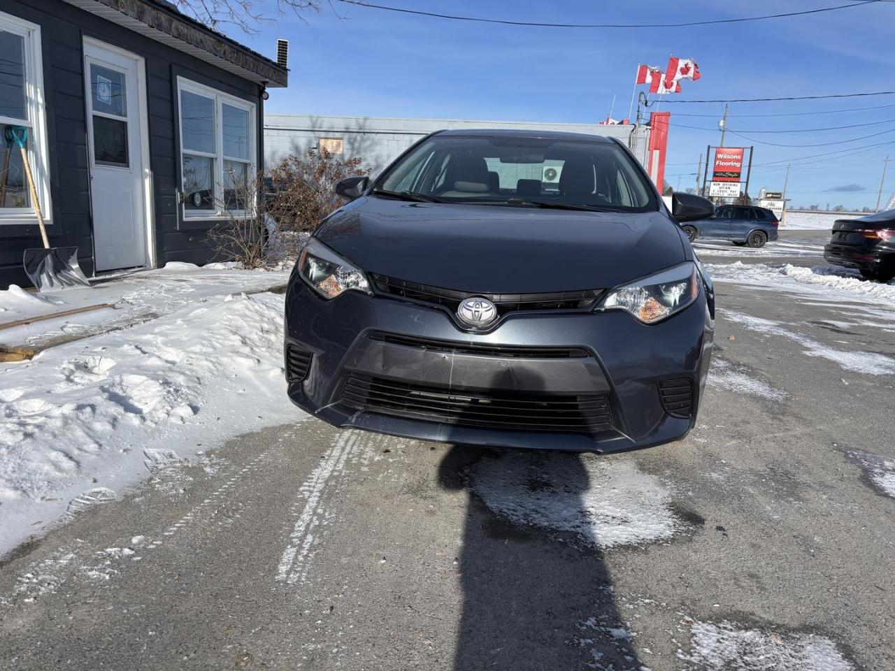 2016 Toyota Corolla  Photo