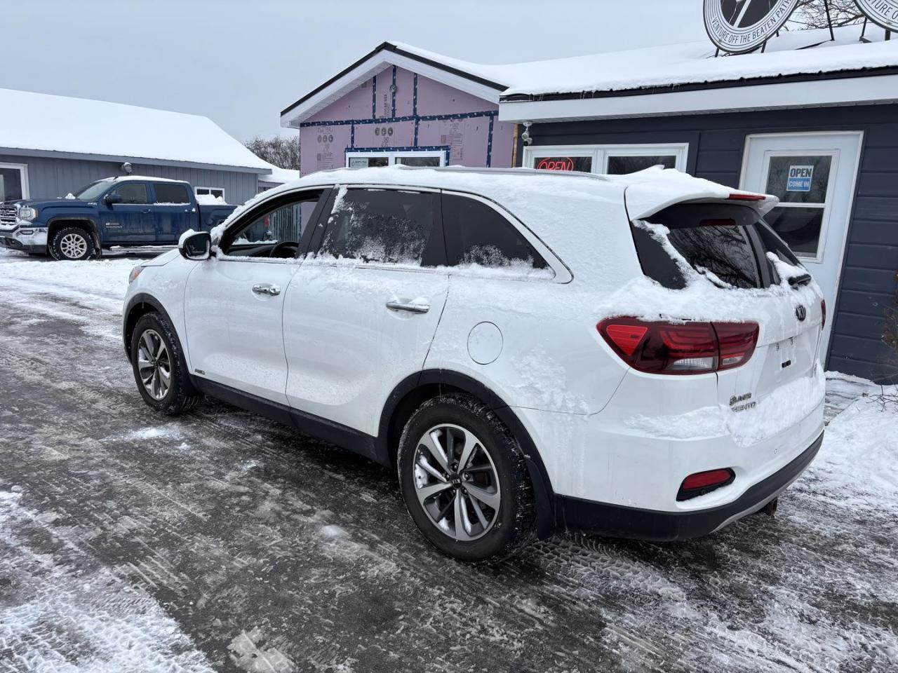 2020 Kia Sorento  Photo