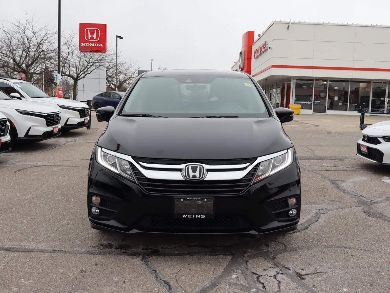 2019 Honda Odyssey EX (A9) Passenger Van Photo
