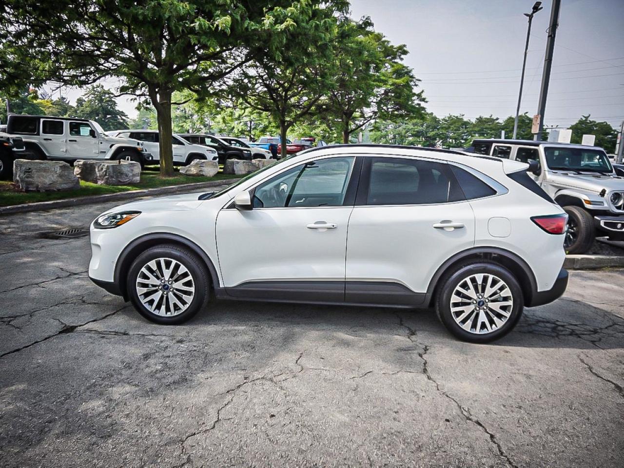 2021 Ford Escape  Photo