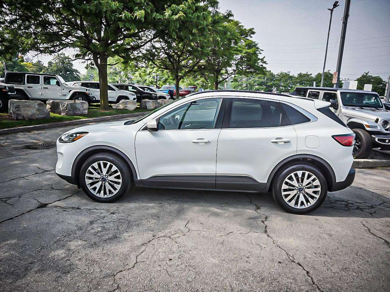 2021 Ford Escape  Photo