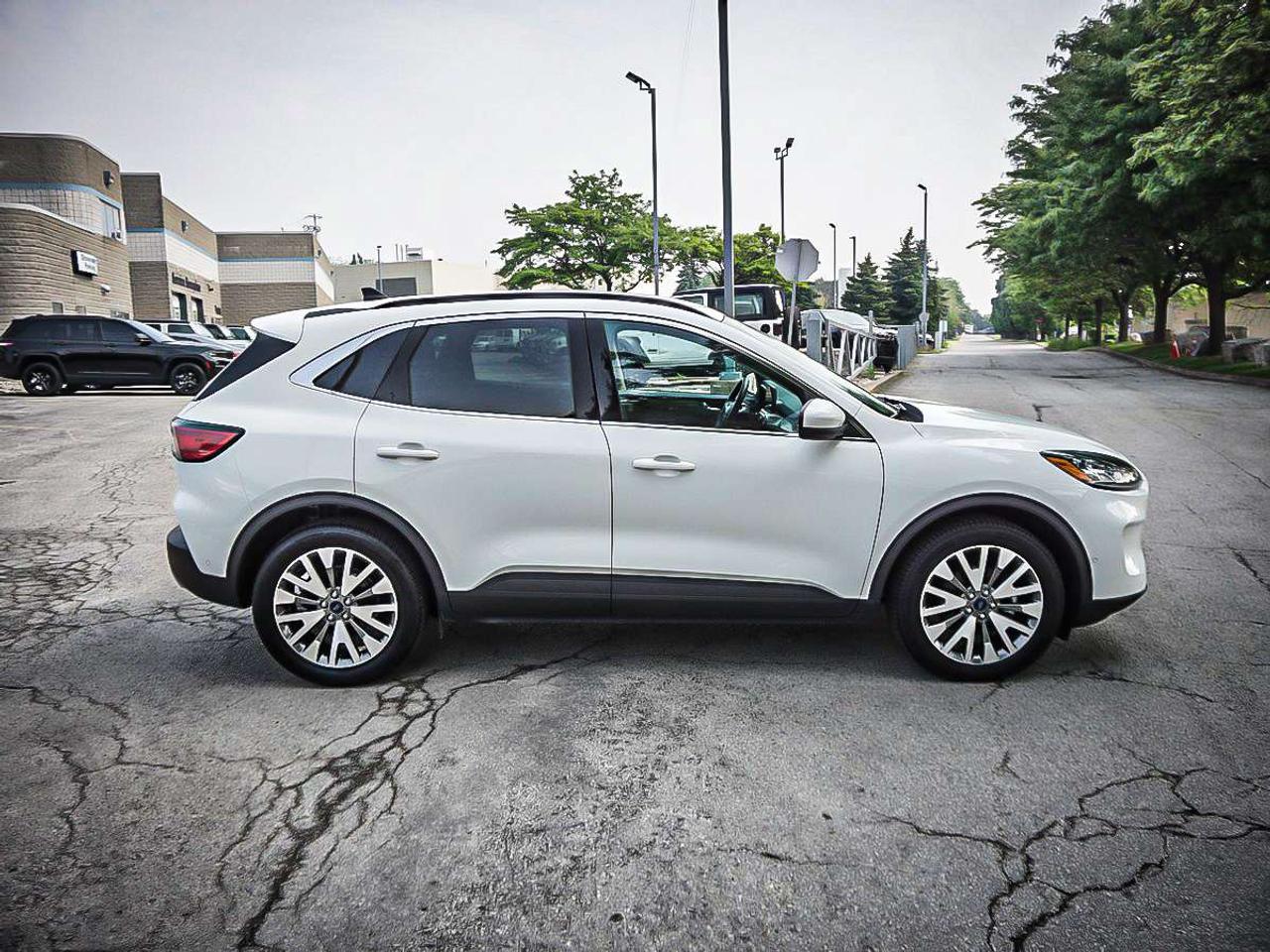 2021 Ford Escape  Photo