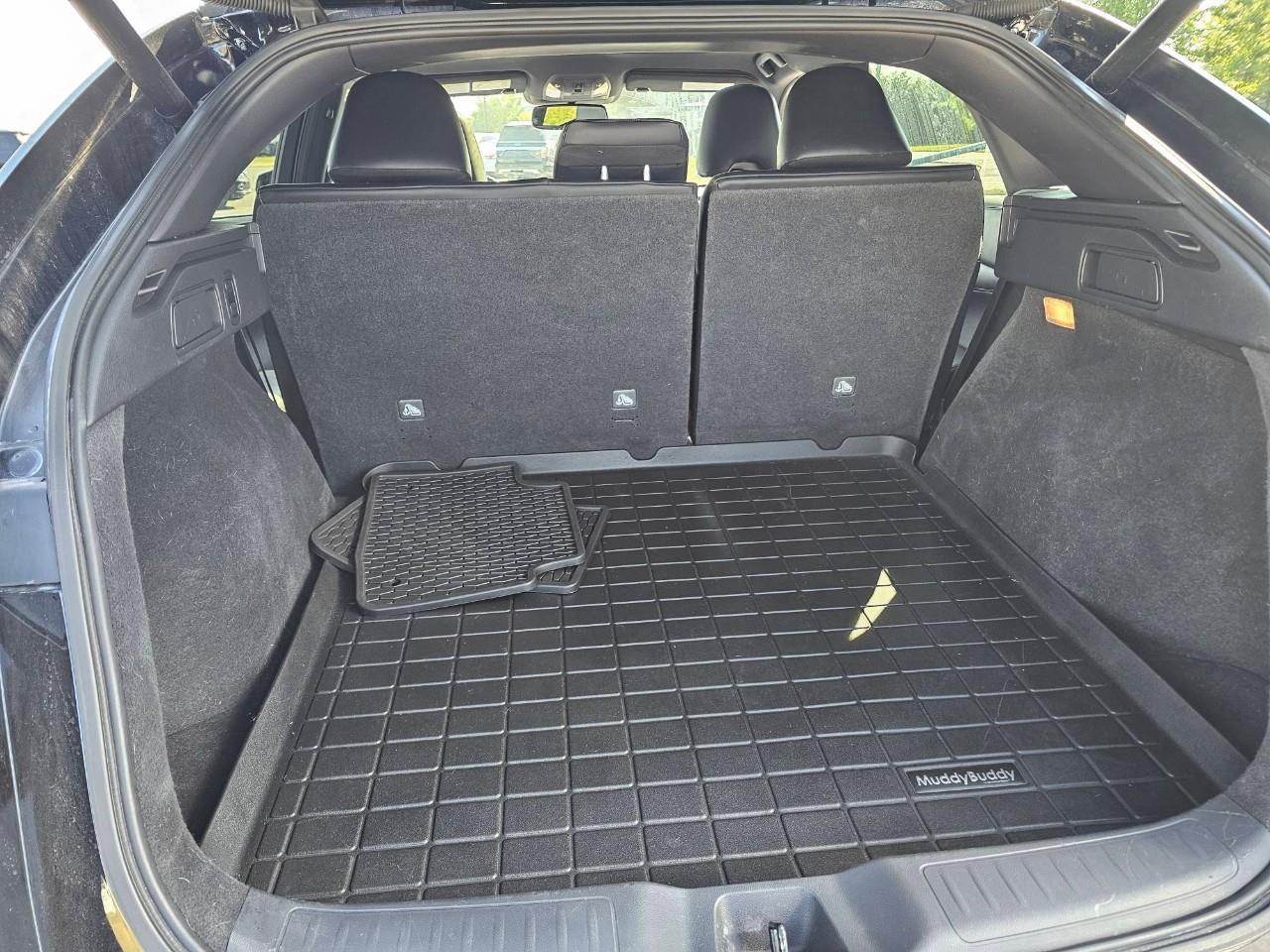 2022 Infiniti QX55 LUXE 4dr All-Wheel Drive Photo