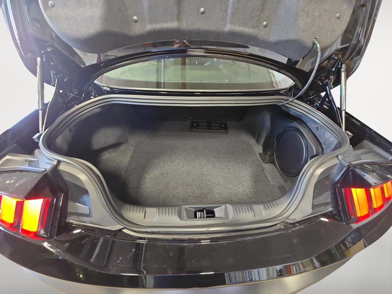 2024 Ford Mustang Dark Horse 2dr Fastback Photo