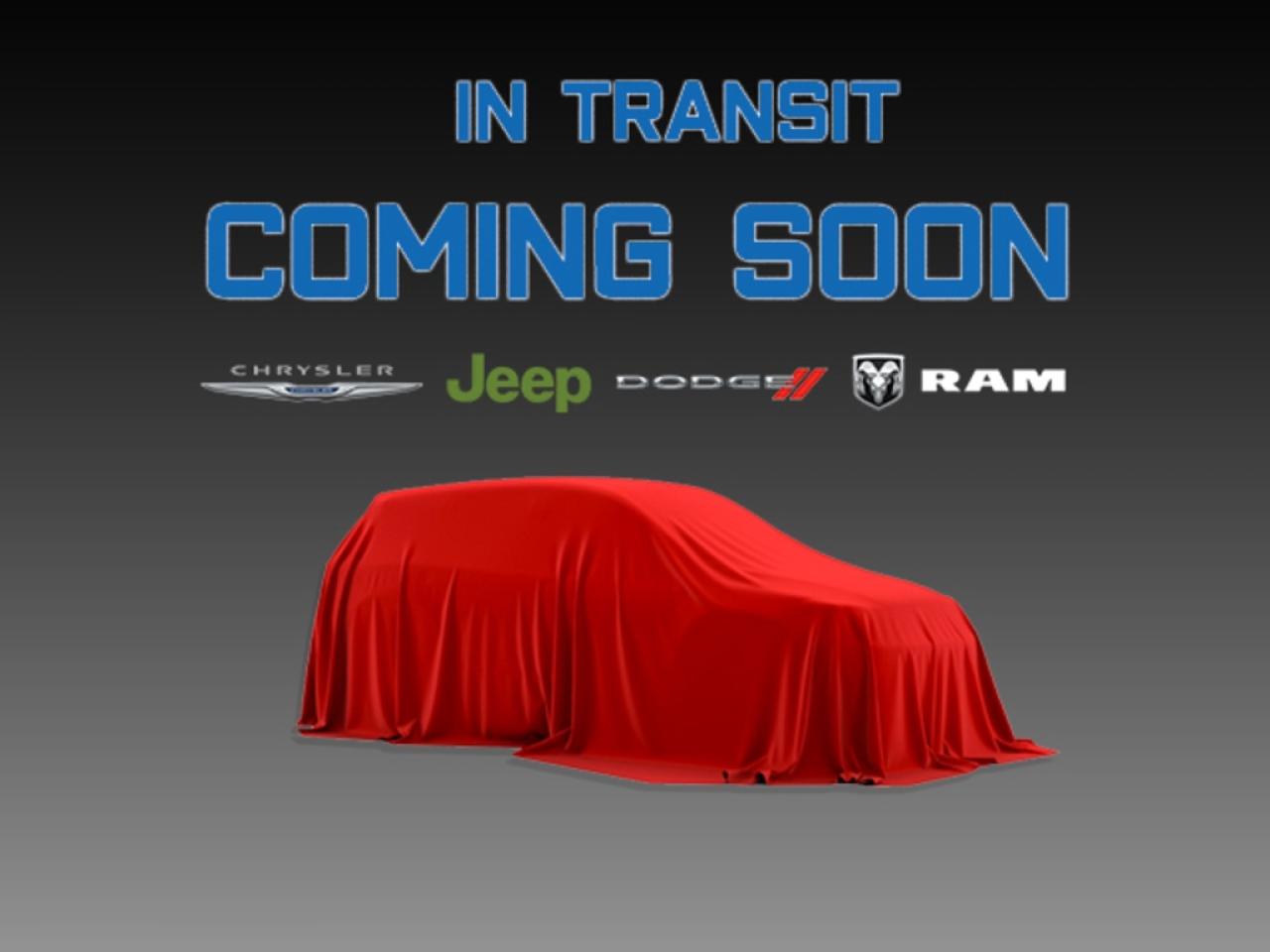 2024 Ford Transit Cargo Van  Photo