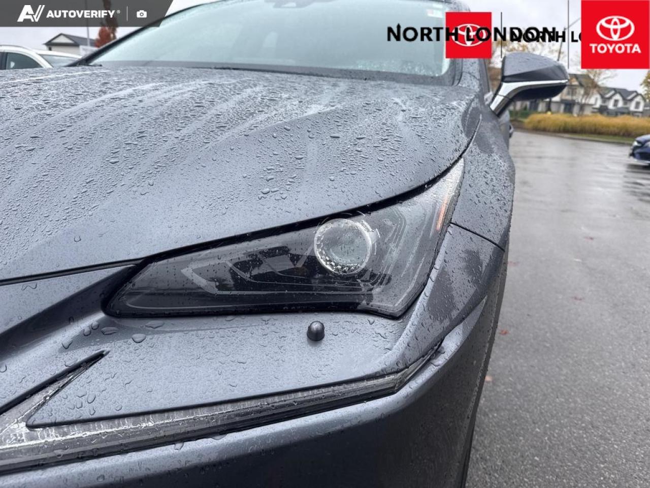 2021 Lexus NX 300h Base 4dr All-Wheel Drive Photo