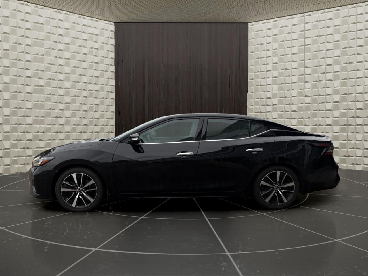 2023 Nissan Maxima SL 4dr Sedan Photo