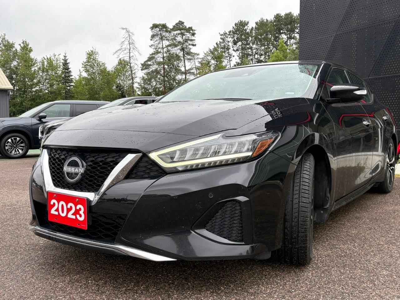 2023 Nissan Maxima SL 4dr Sedan Photo