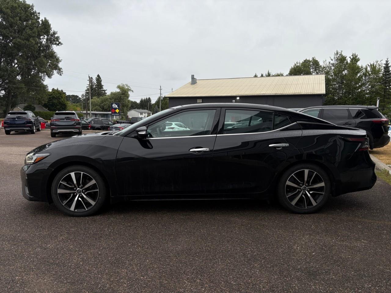 2023 Nissan Maxima SL 4dr Sedan Photo