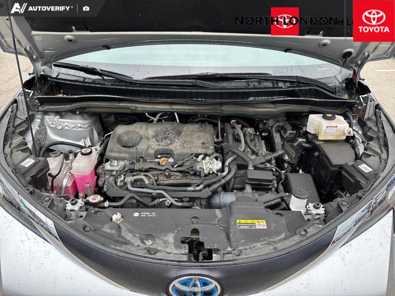 2024 Toyota Sienna  Photo