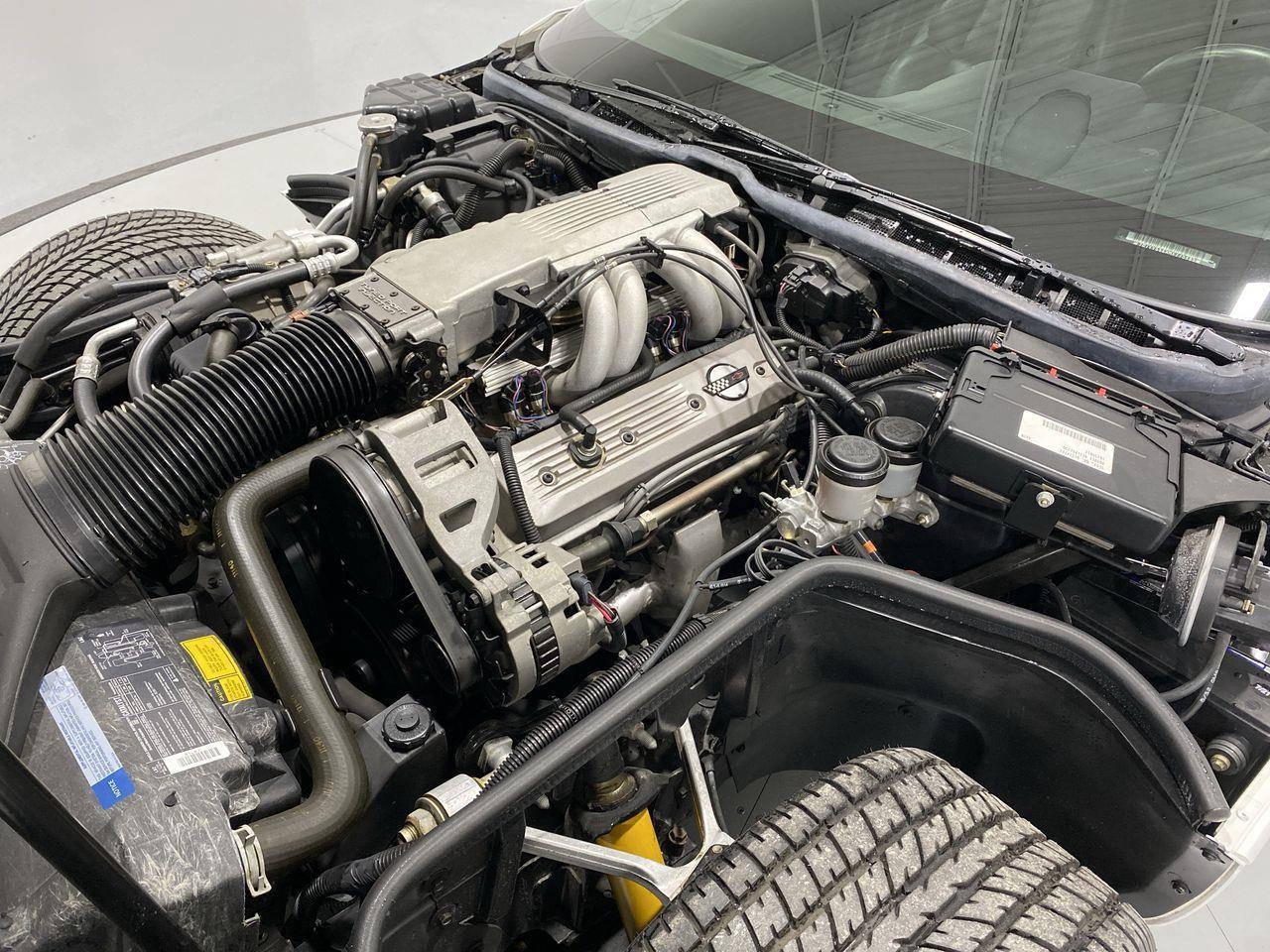 1991 Chevrolet Corvette  Photo