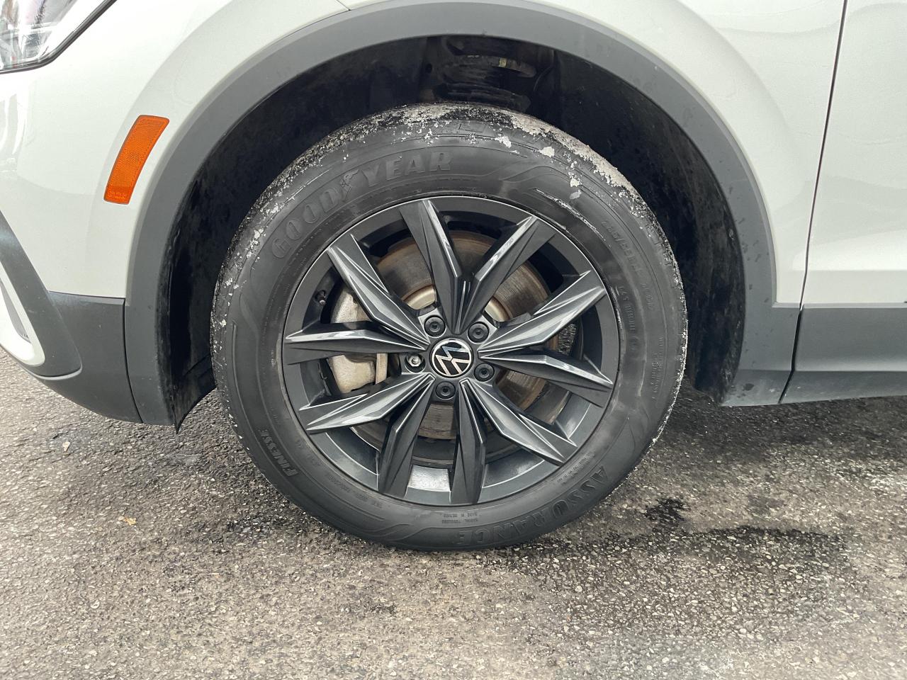 2024 Volkswagen Tiguan Comfortline 4dr All-wheel Drive 4MOTION Photo