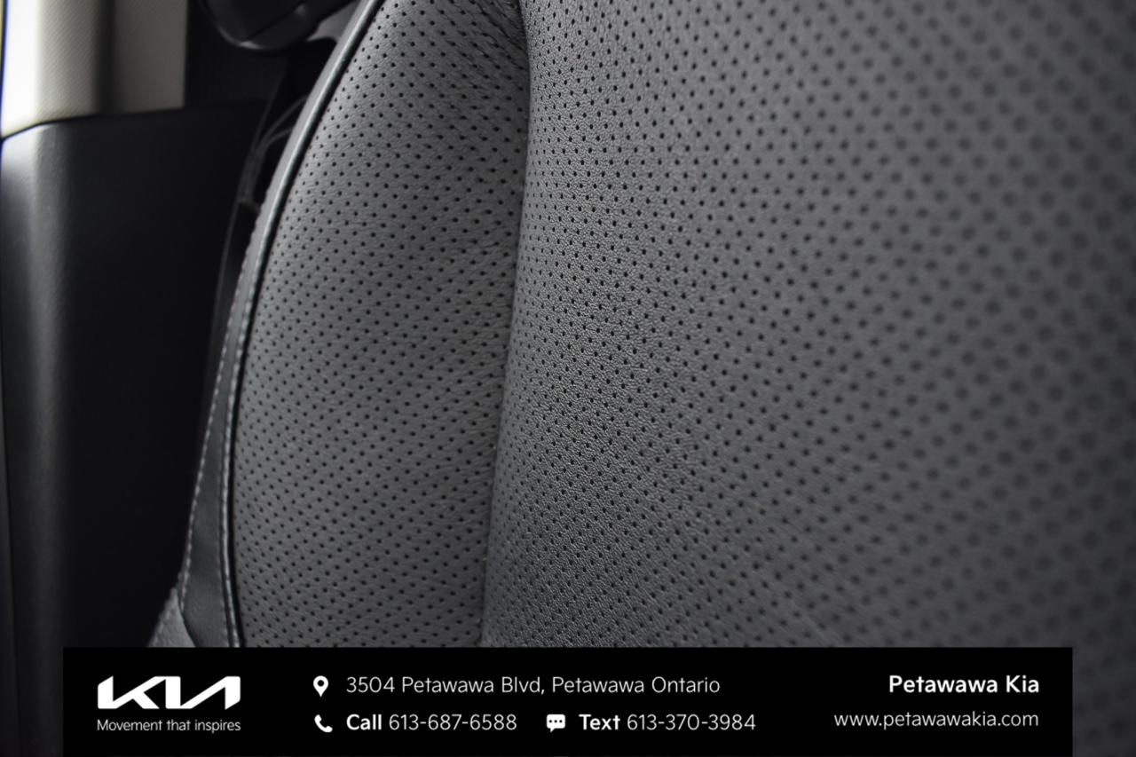 2020 Nissan Qashqai SL (CVT) 4dr All-Wheel Drive Photo