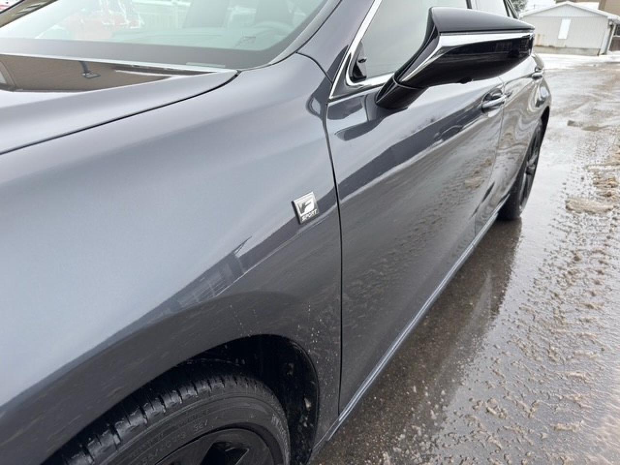 2025 Lexus ES ES 350 Auto Photo