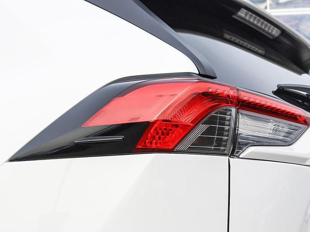 2025 Toyota RAV4 XLE 4dr All-wheel Drive Photo