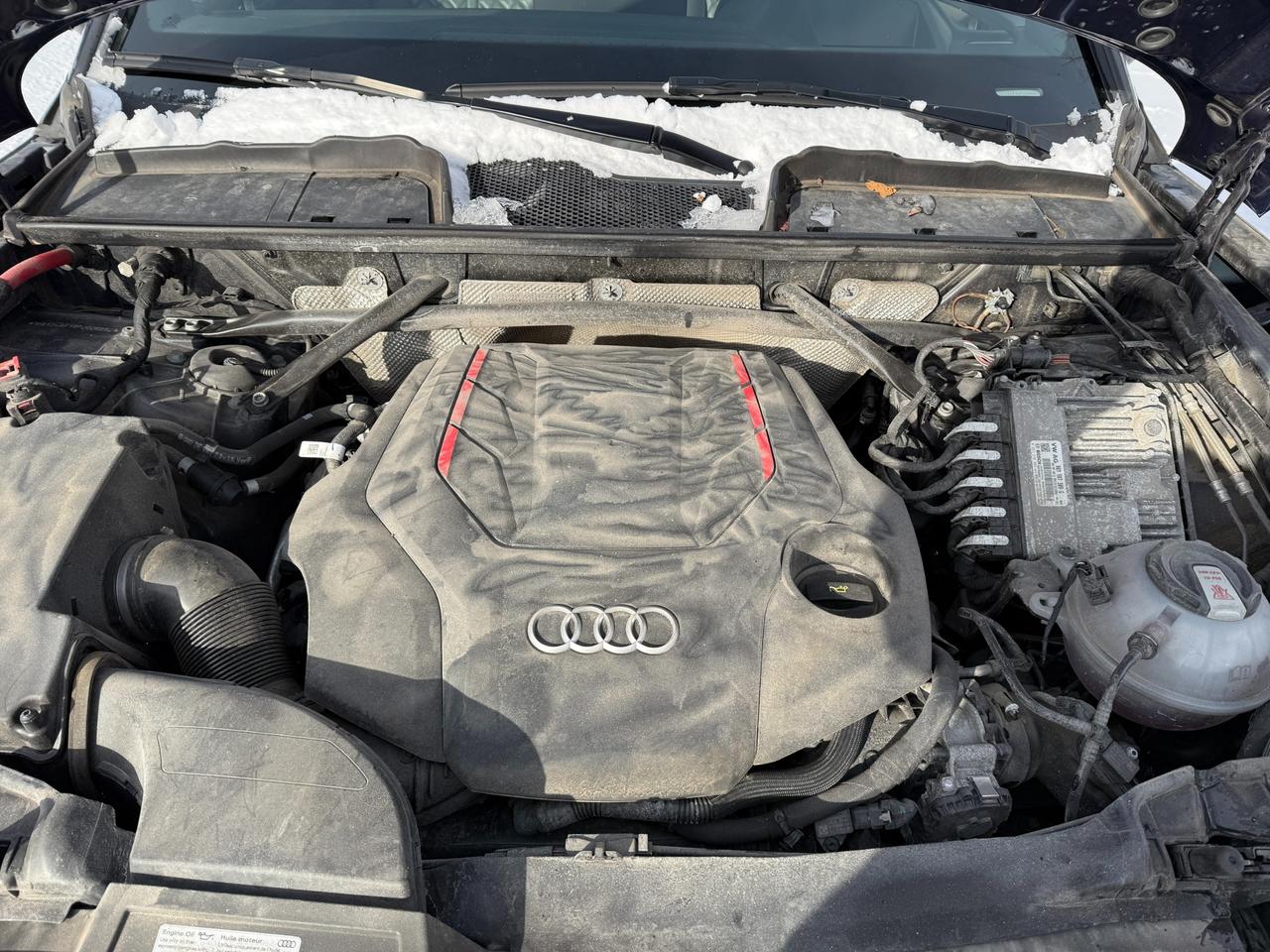 2023 Audi SQ5 3.0T Technik 4dr All-Wheel Drive quattro Sportback Photo