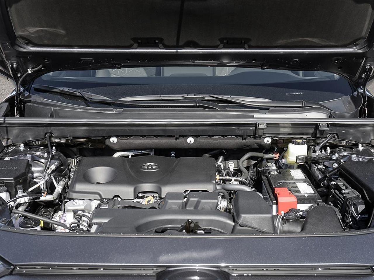 2025 Toyota RAV4 XLE 4dr All-wheel Drive Photo