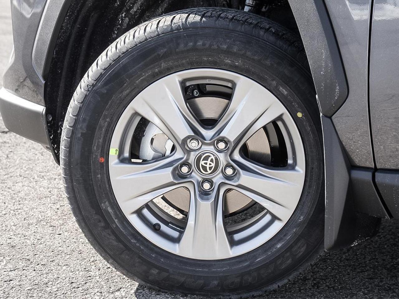 2025 Toyota RAV4 XLE 4dr All-wheel Drive Photo