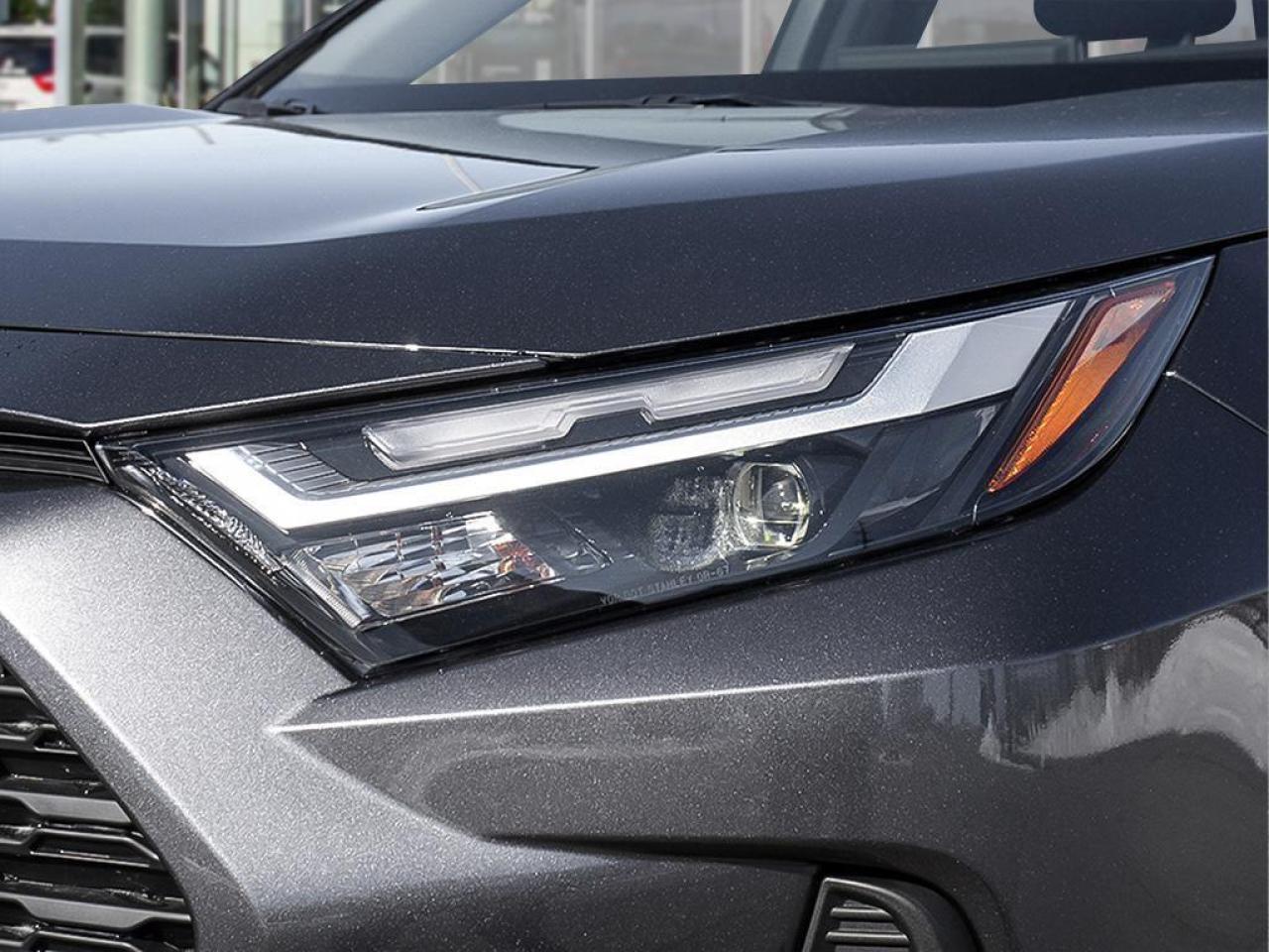 2025 Toyota RAV4 XLE 4dr All-wheel Drive Photo