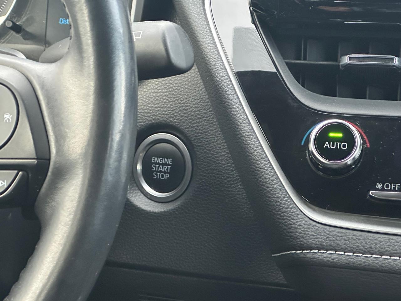 2019 Toyota Corolla Hatchback Base (CVT) 5dr Photo