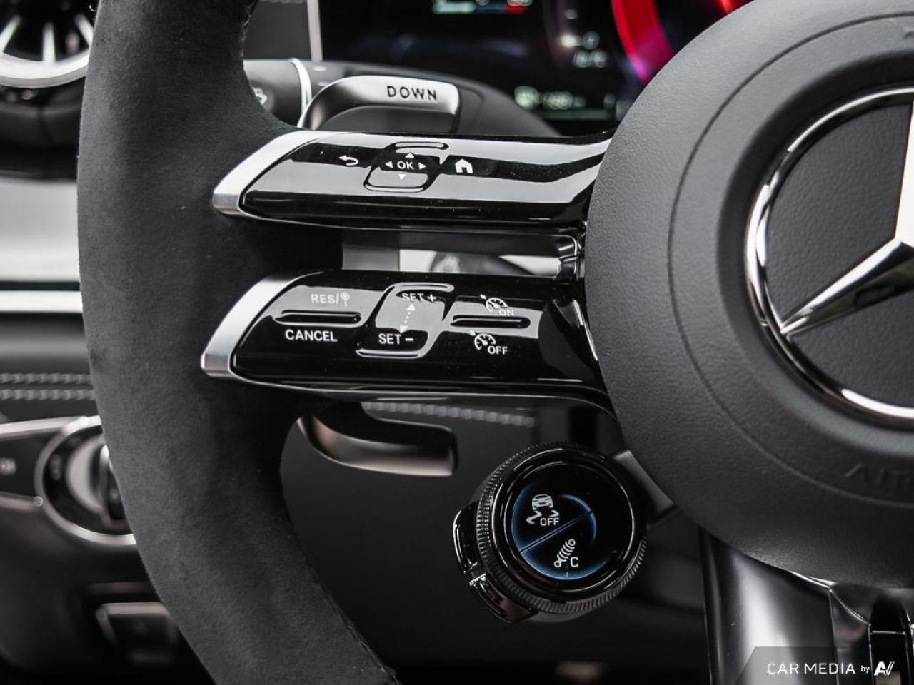 2025 Mercedes-Benz AMG GT 53 4-Door Base AMG GT 53 4-Door Coupe 4dr All-Wheel Drive 4MATIC+ Photo