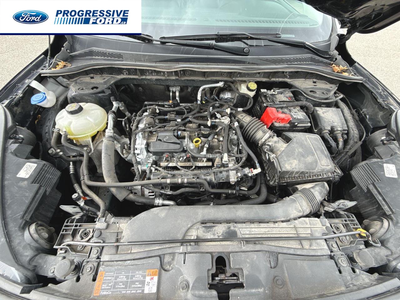 2022 Ford Escape SEL 4dr All-Wheel Drive Photo