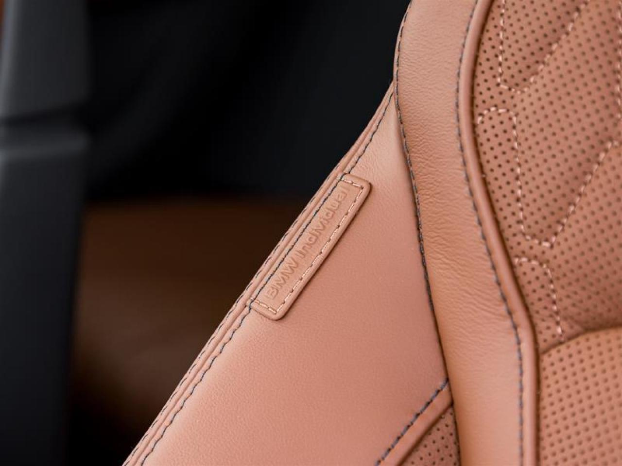 2026 BMW X6 M60i xDrive 4dr All-Wheel Drive Sports Activity Coupe Photo