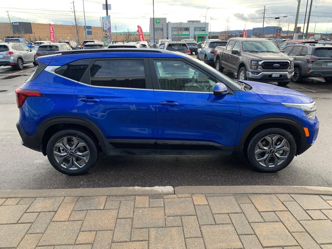 2025 Kia Seltos EX 4dr All-Wheel Drive Photo