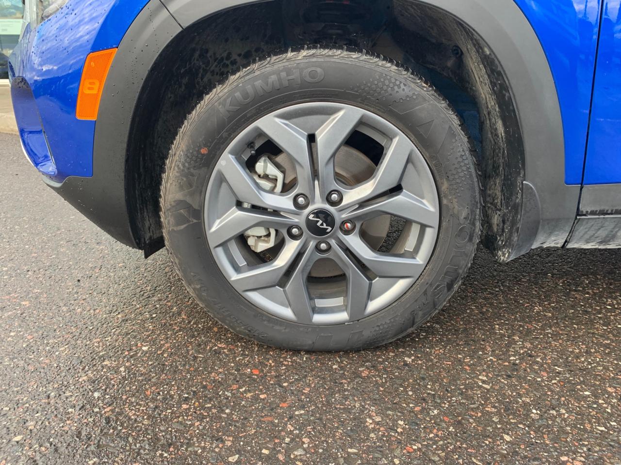 2025 Kia Seltos EX 4dr All-Wheel Drive Photo